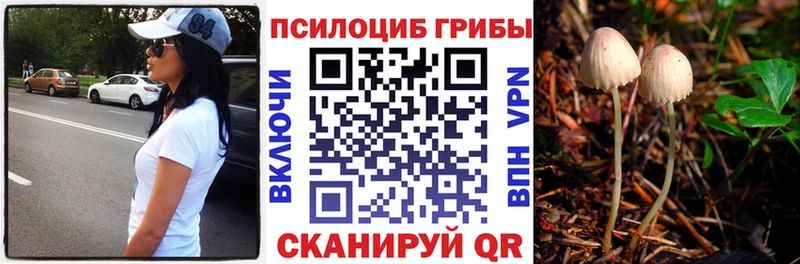 Галлюциногенные грибы Psilocybe  Керчь 
